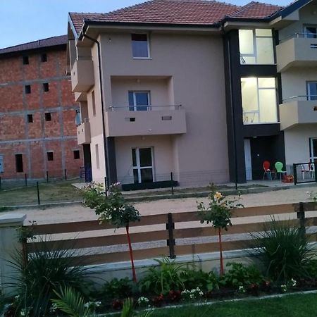 Srebrna Nit Apartman Veliko Gradište Kültér fotó